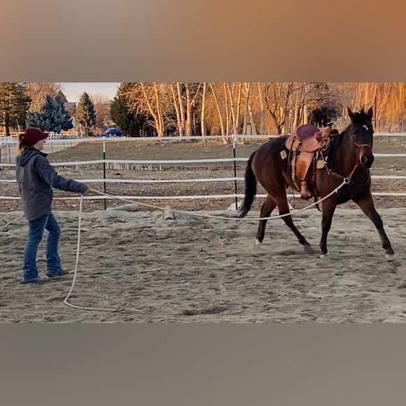 Meet your Posher, Brittany - Picture 3 of 16